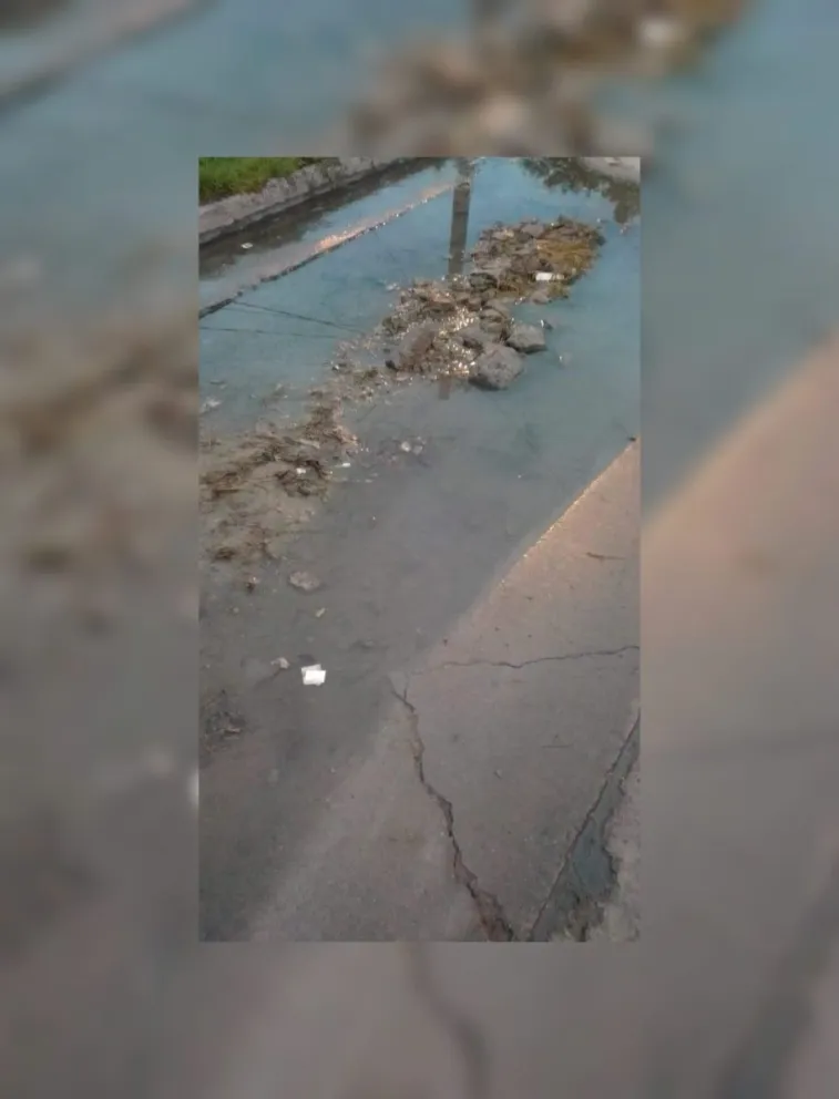 El incesante reclamo de vecinos por una pérdida de agua