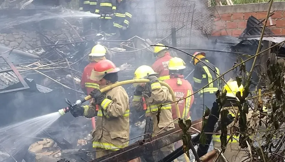 Incendió su casa por accidente, mientras trataba de deshacerse de un panal de abejas