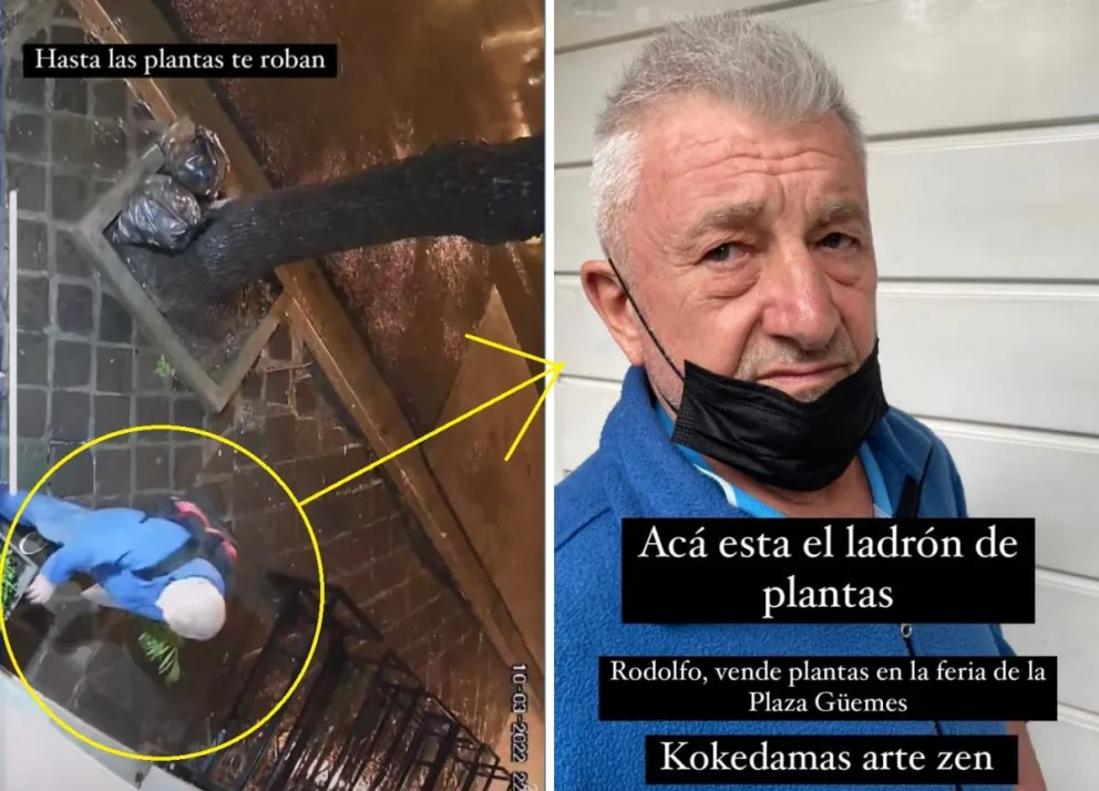 |VIDEO| ¿No le da vergüenza? Se afanaba las plantas de todos los vecinos y las vendía, hasta que le tocó perder