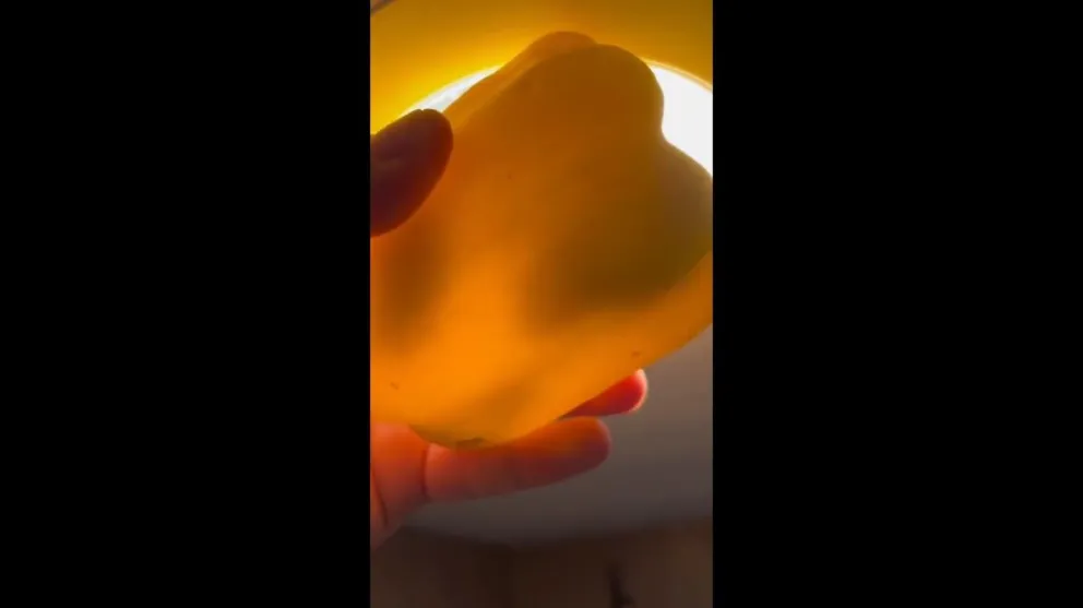 |VIDEO| Compró un pimiento y lo que encontró adentro le revolvió las tripas