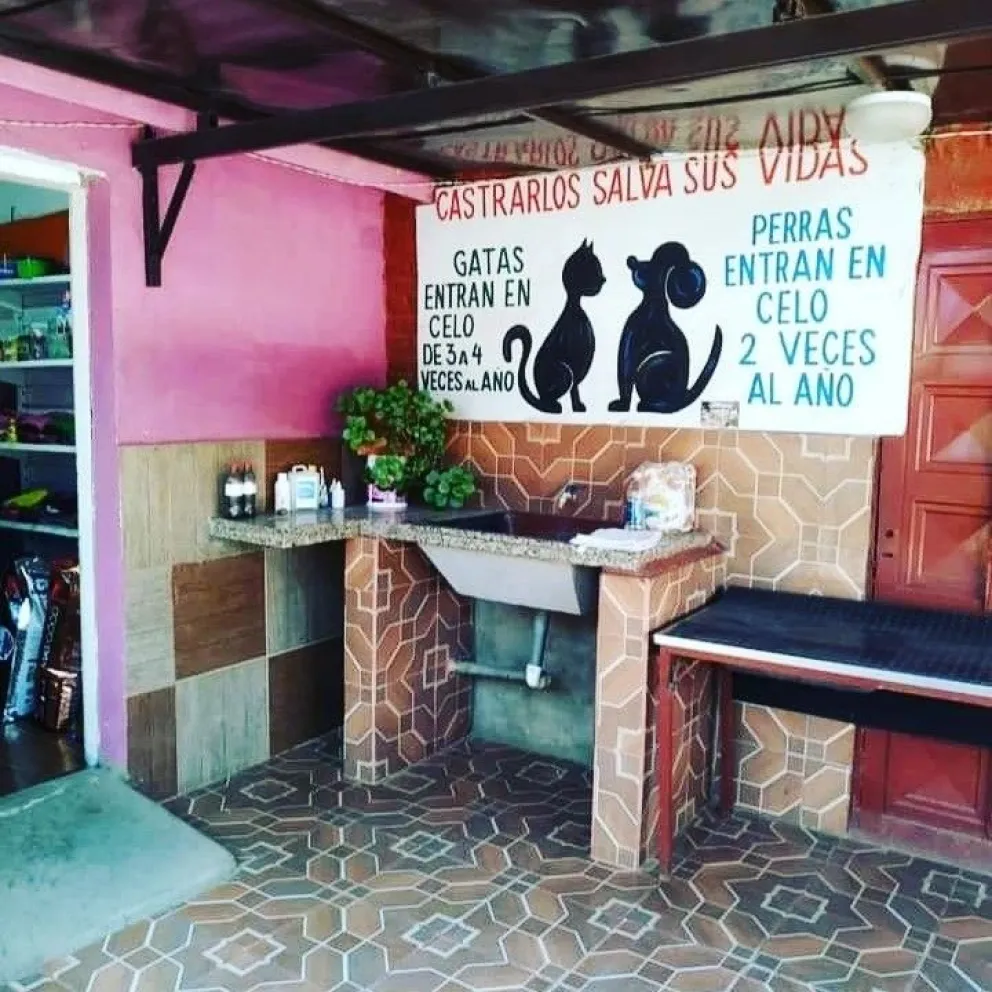 Proteccionistas piden frenar la superpoblación canina 