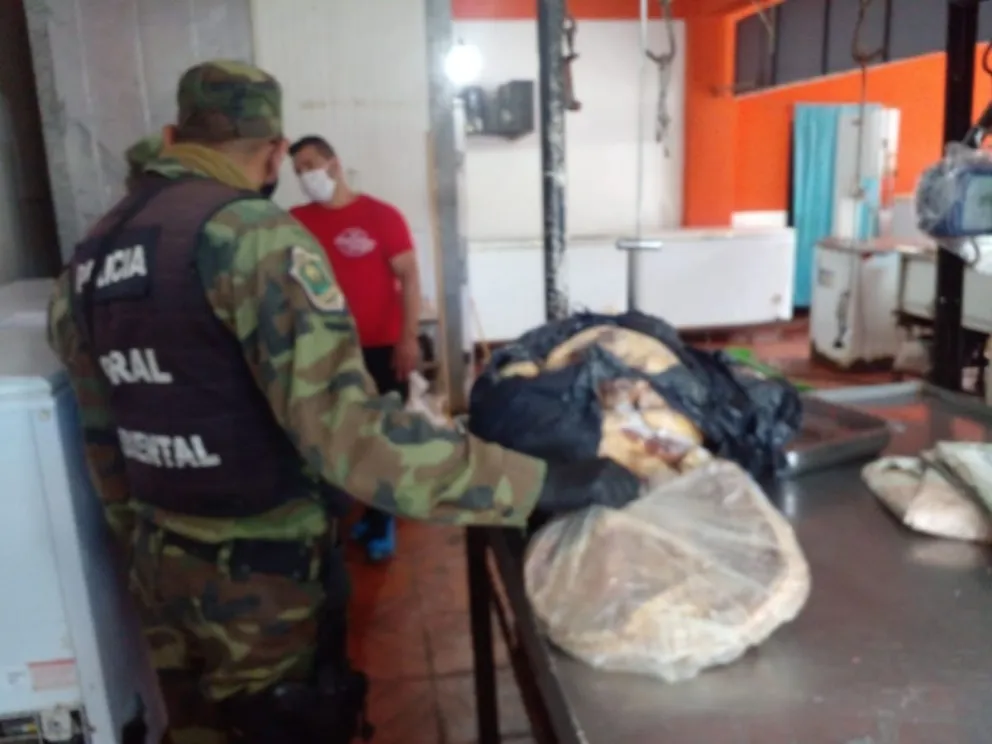 Ni te acerques para ahí: de qué carnicería salteña secuestraron 100 kilos de carne podrida