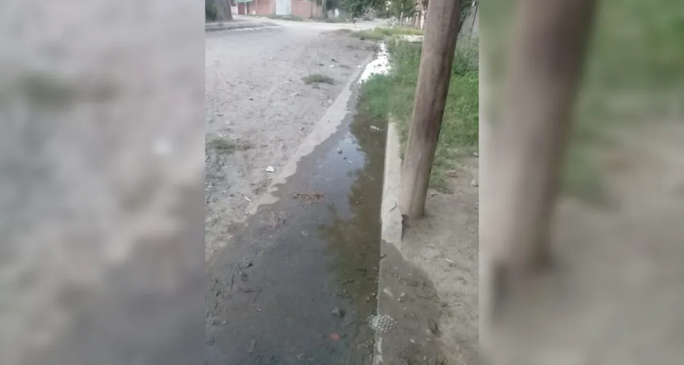Reclamo vecinal: continúan las denuncias por pérdidas de agua en la vía pública
