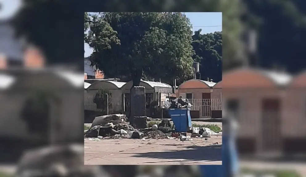"Una mugre bárbara":  hace tres días que no pasa el recolector y la basura se acumula en la vía pública