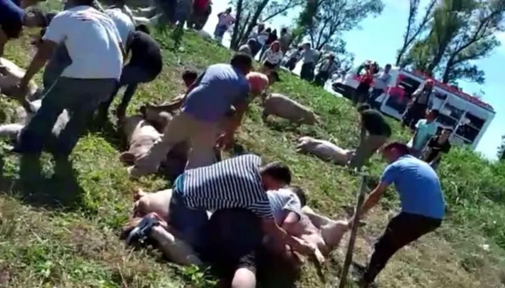 Si hay pobreza que no se note: a las corridas para saquear un camión