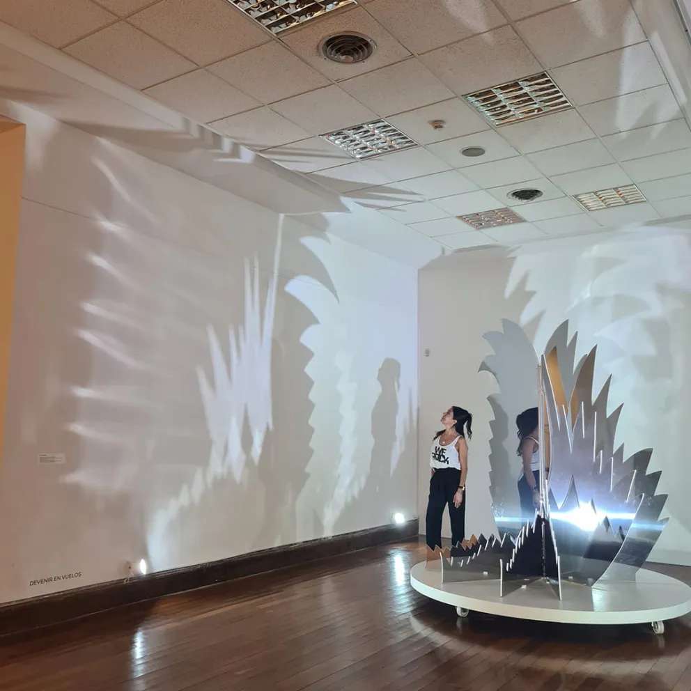 Muestra de arte. Loly Rodríguez