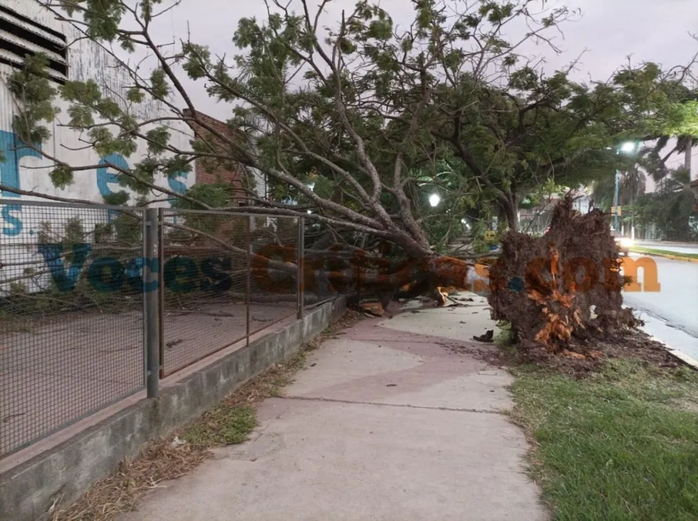 viento en Salta.