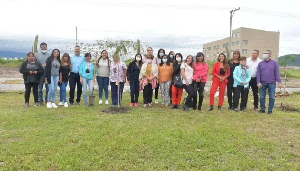 Mujeres plantaron árboles como símbolo de la igualdad y los derechos