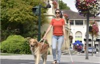 Perro guía: el Concejo Deliberante de Salta adhirió a la ley que beneficia a personas con discapacidad