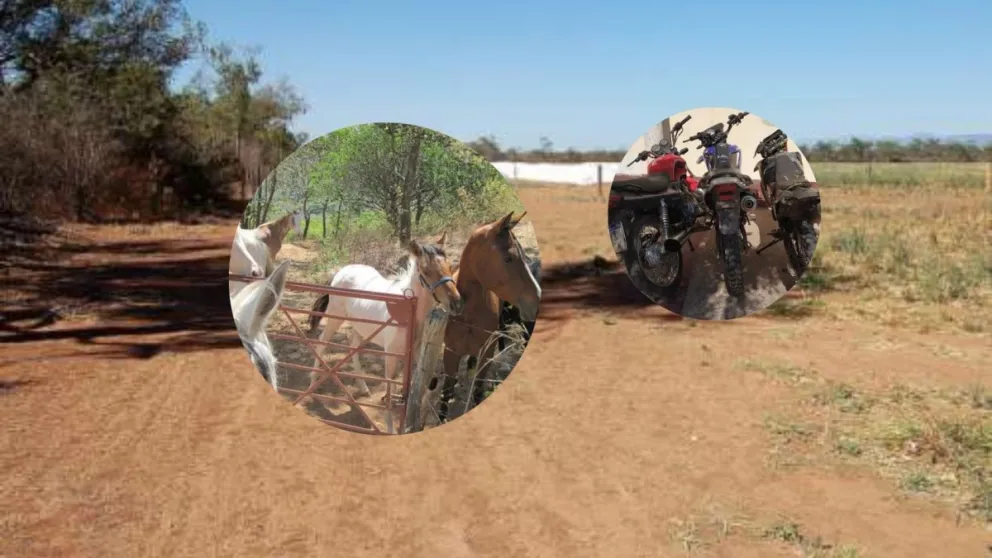 Insólito: Robaron una finca en Salta y no dejaron nada