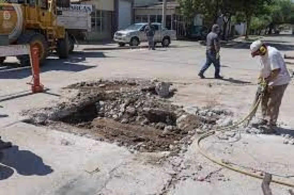 Bache. Fuente: Twitter