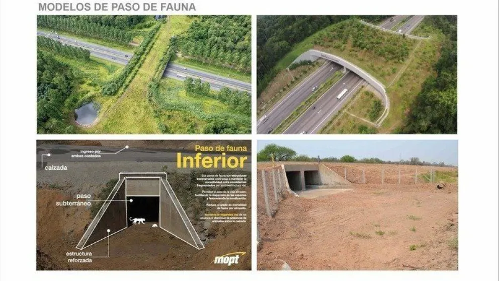 Circunvalación Noroeste: Exigen que la construcción posea un paso para los animales
