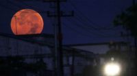 Fenómeno Astronómico: A partir de hoy se podrá visualizar la Luna Rosa
