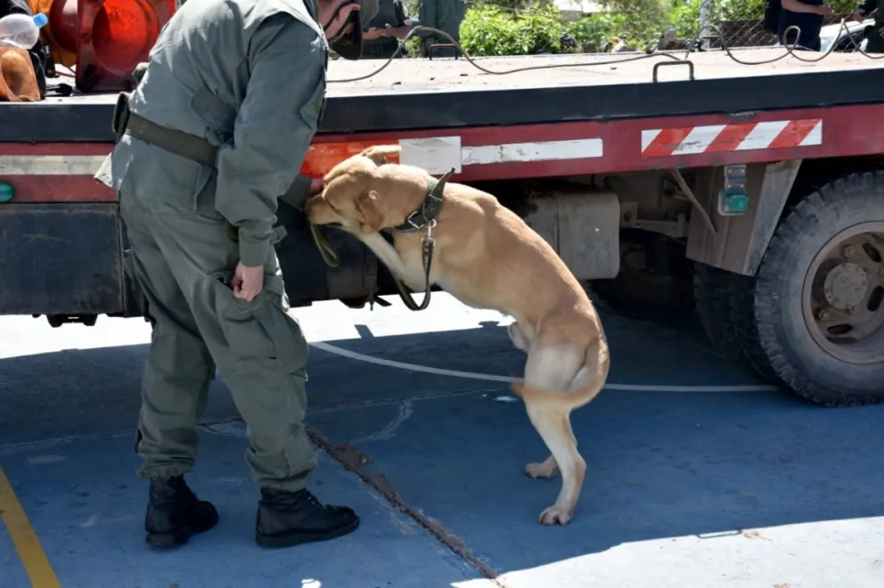 Operativo gendarmería.