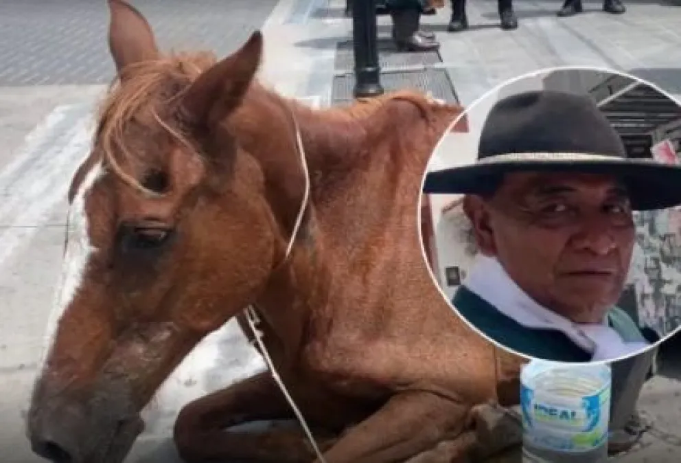 Un gaucho será imputado por dejar a un caballo desplomado en la calle