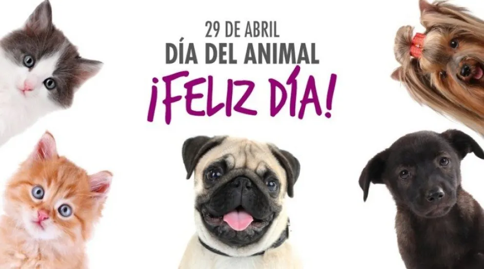 Día del animal en Argentina: mirá los animales famosos de Salta