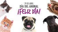 Día del animal en Argentina: mirá los animales famosos de Salta