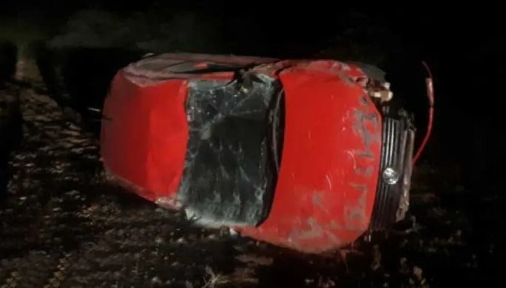 Los peligros de transitar por las rutas salteñas: otro accidente más causado por un animal