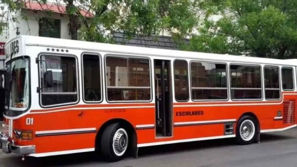 Terrible: conocé lo que sucedió cuando un chofer de un micro escolar le dio el volante a un niño