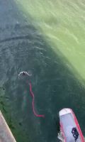 "El procedimiento estaba mal hecho": habló el turista que se accidentó mientras practicaba bungee jumping